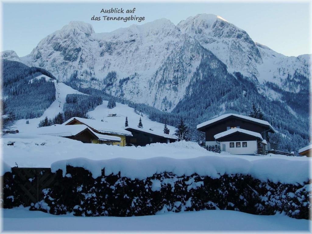 Apartment Dreier - Salzburger Land Abtenau Eksteriør billede